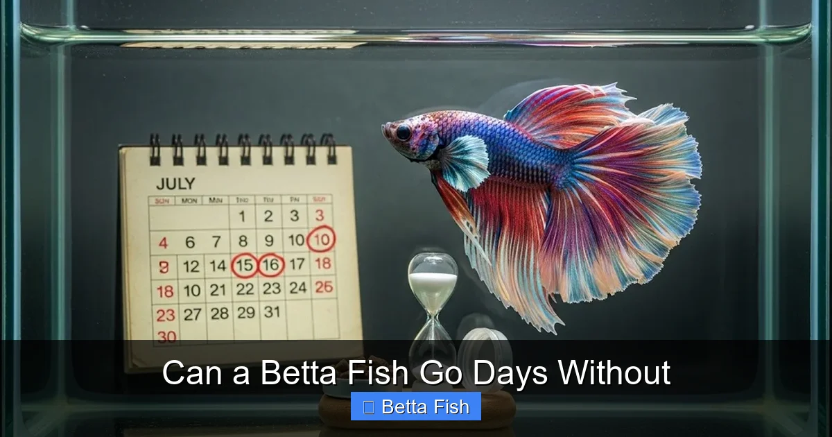 Can a Betta Fish Go Days Without