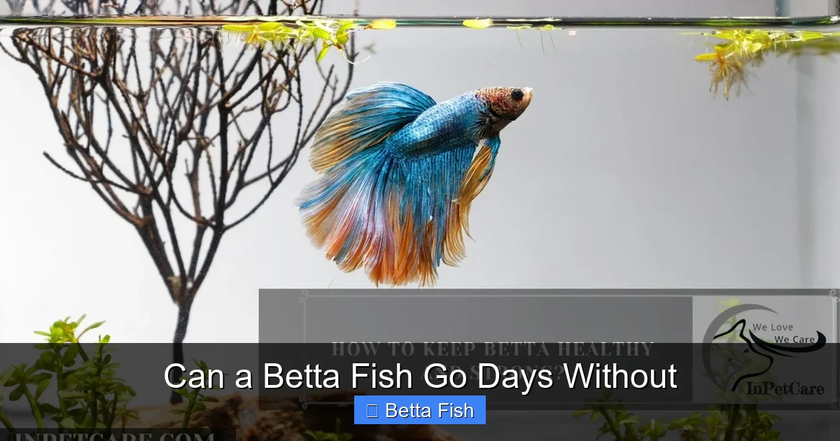 Can a Betta Fish Go Days Without
