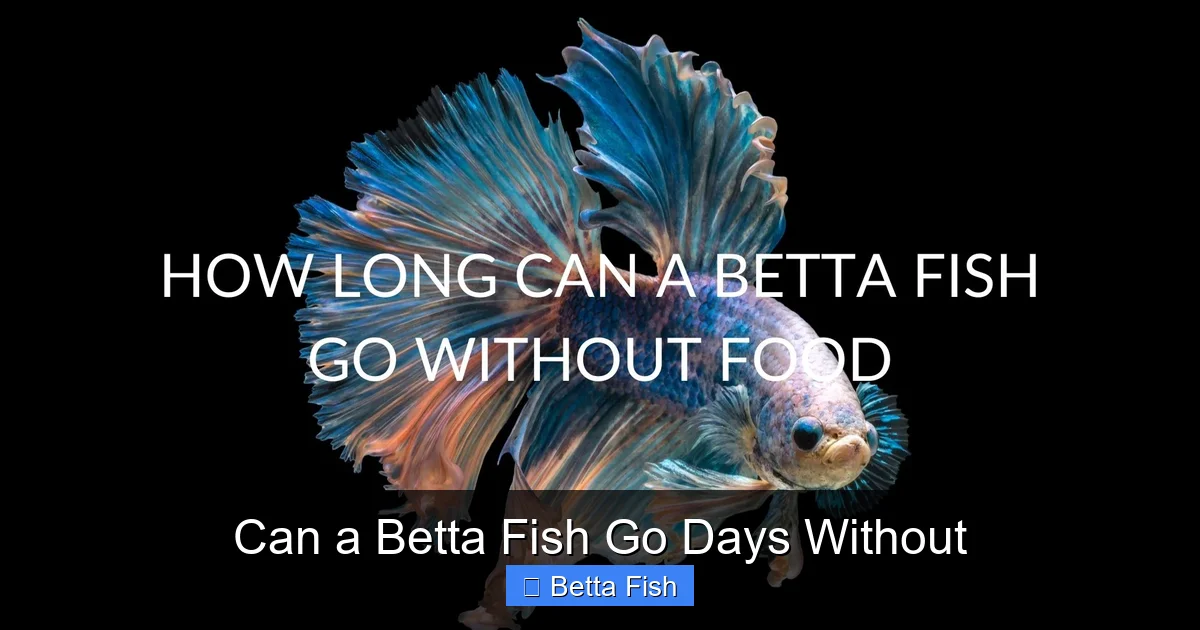Can a Betta Fish Go Days Without