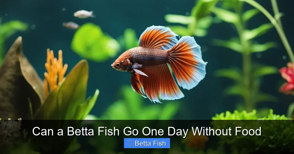 Can a Betta Fish Go One Day Without Food