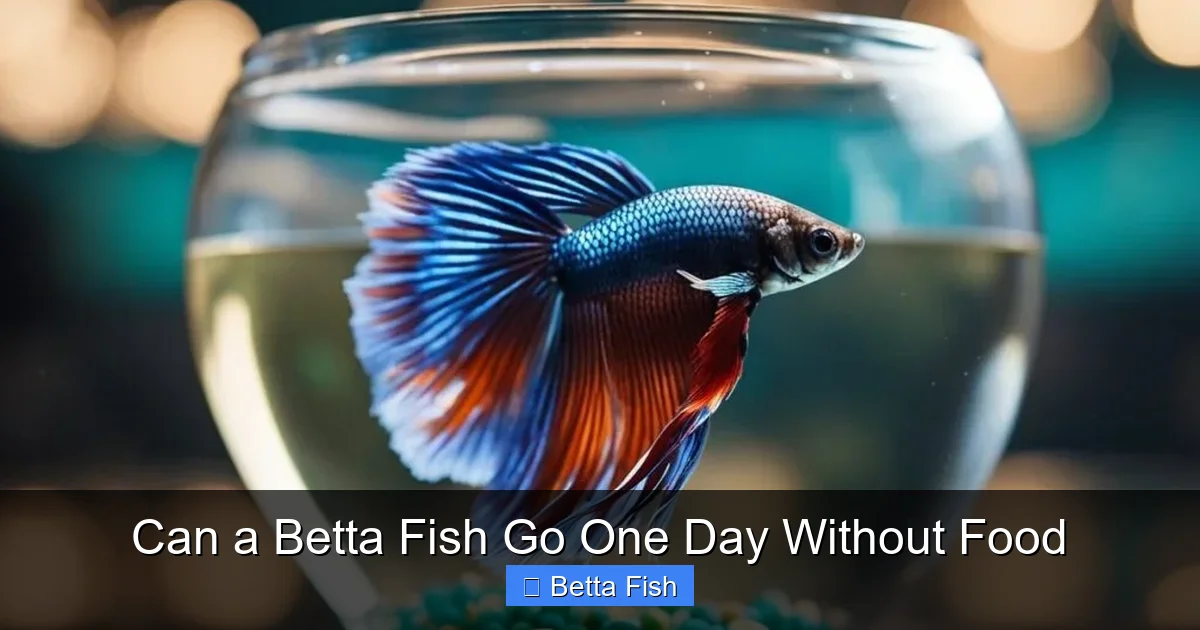 Can a Betta Fish Go One Day Without Food