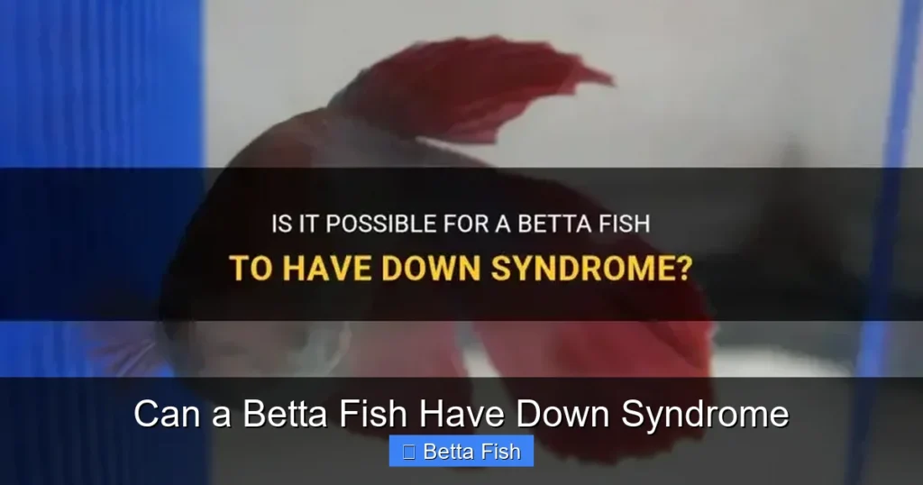 Can a Betta Fish Have Down Syndrome
