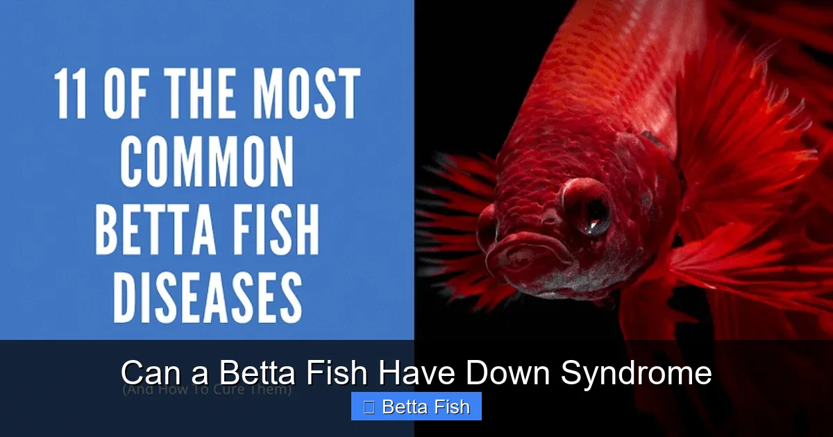 Can a Betta Fish Have Down Syndrome