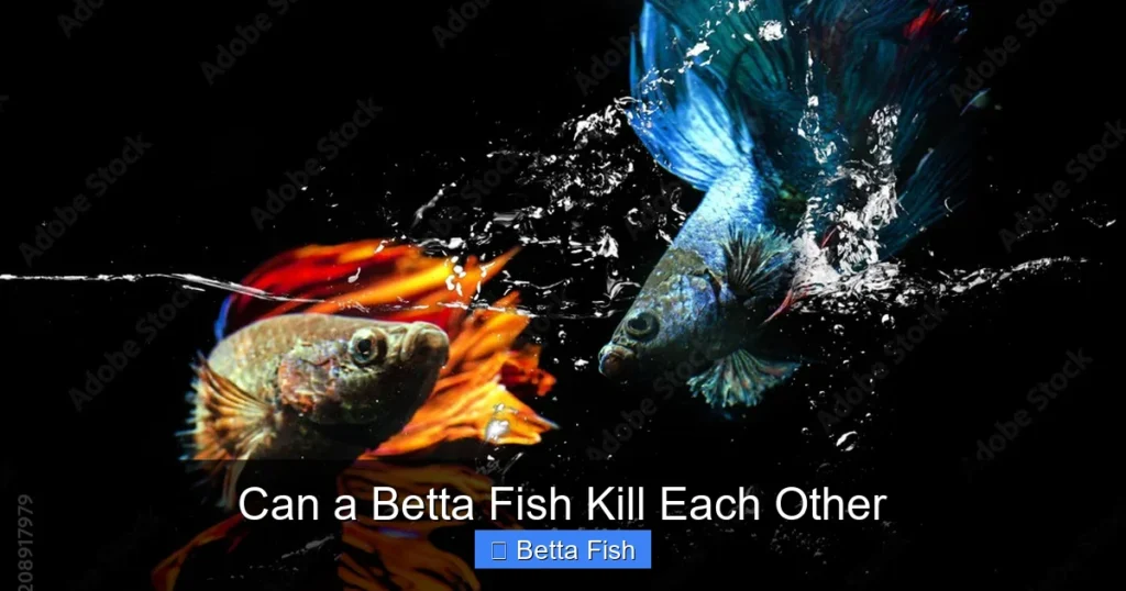 Can a Betta Fish Kill Each Other