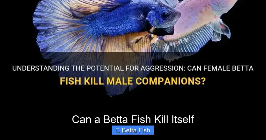 Can a Betta Fish Kill Itself