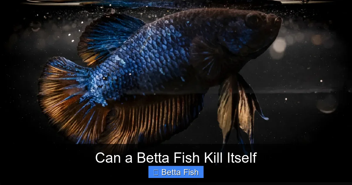 Can a Betta Fish Kill Itself