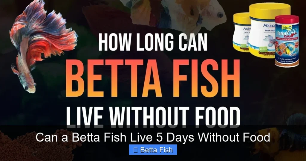 Can a Betta Fish Live 5 Days Without Food