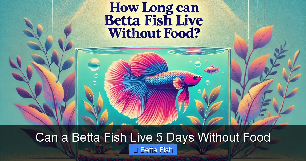 Can a Betta Fish Live 5 Days Without Food