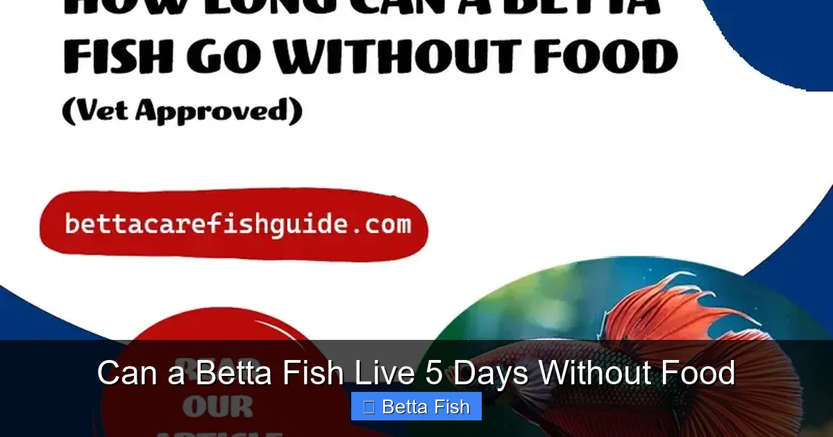 Can a Betta Fish Live 5 Days Without Food
