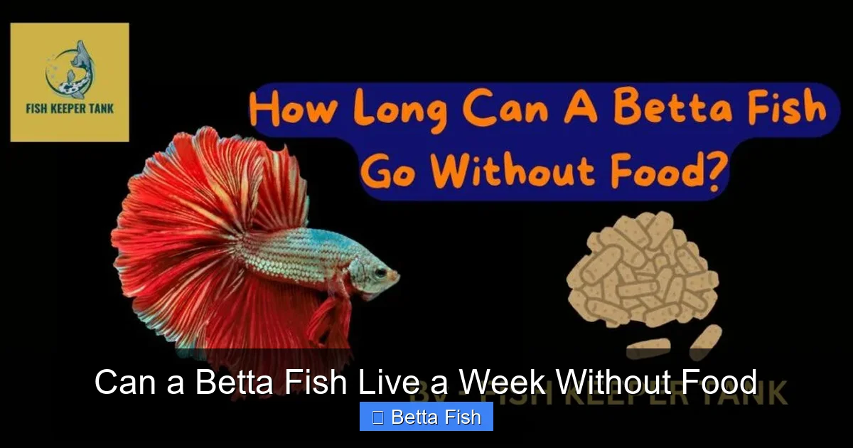 Can a Betta Fish Live a Week Without Food
