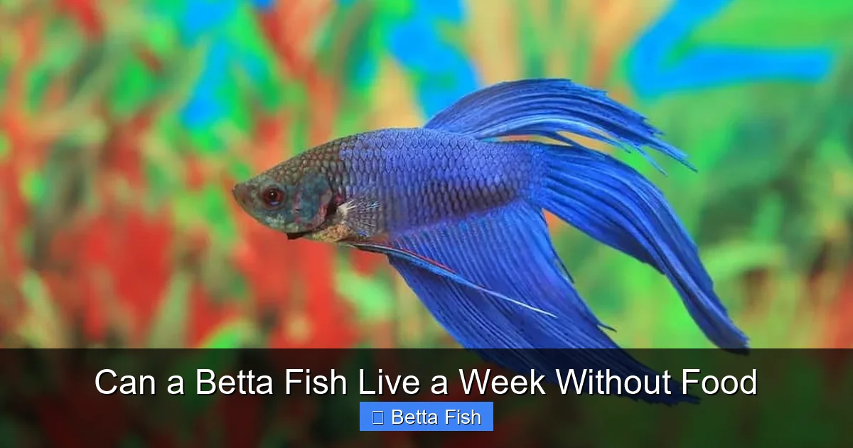 Can a Betta Fish Live a Week Without Food