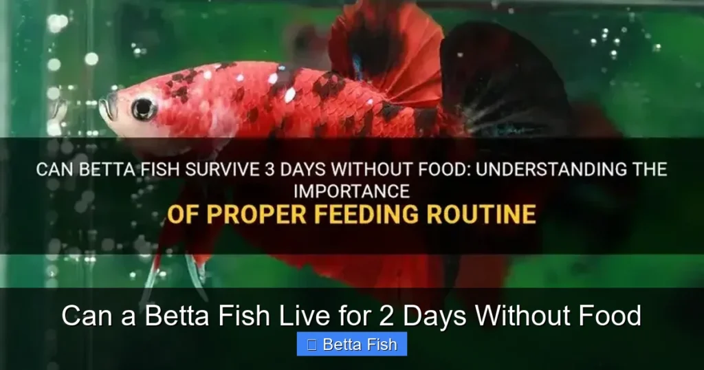 Can a Betta Fish Live for 2 Days Without Food