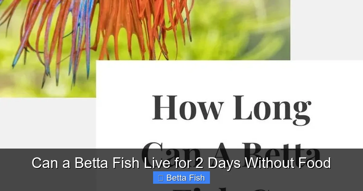 Can a Betta Fish Live for 2 Days Without Food
