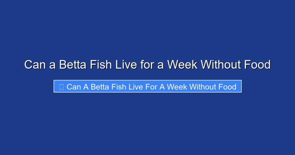 Can a Betta Fish Live for a Week Without Food