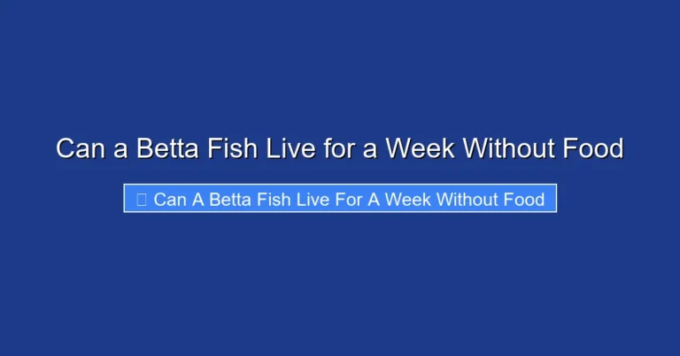 Can a Betta Fish Live for a Week Without Food