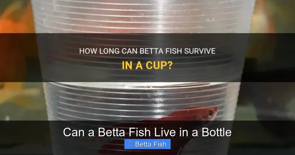 Can a Betta Fish Live in a Bottle