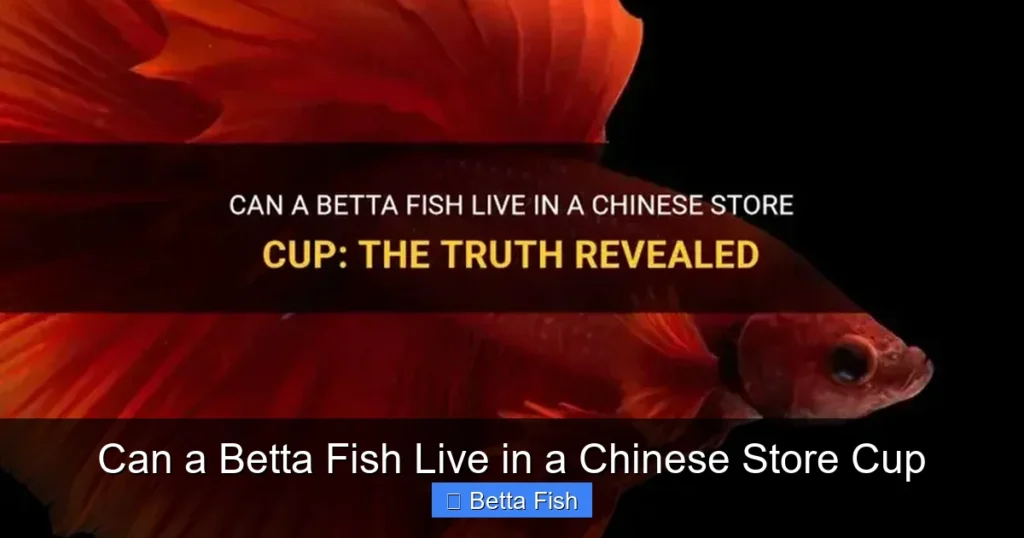 Can a Betta Fish Live in a Chinese Store Cup