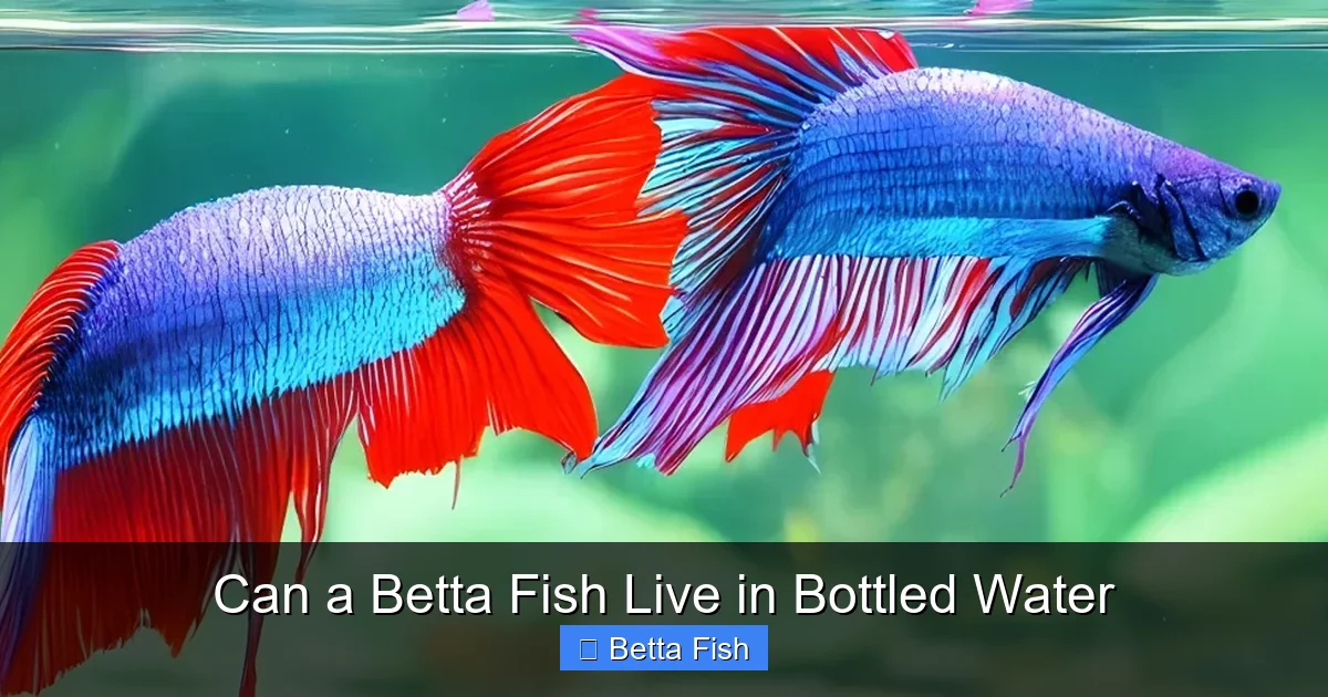 Can a Betta Fish Live in Bottled Water