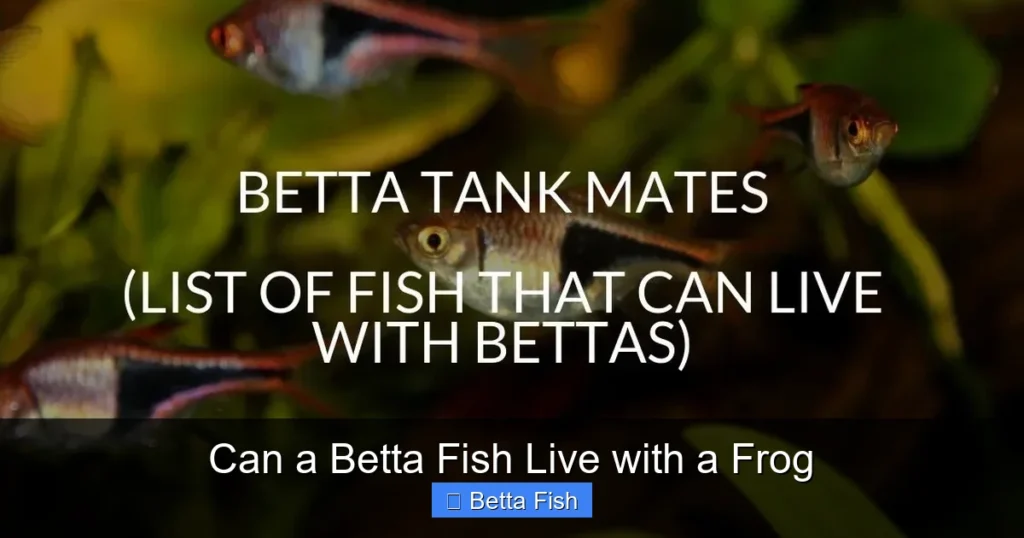 Can a Betta Fish Live with a Frog