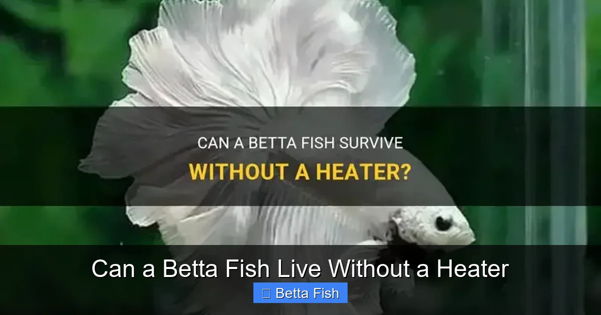 Can a Betta Fish Live Without a Heater