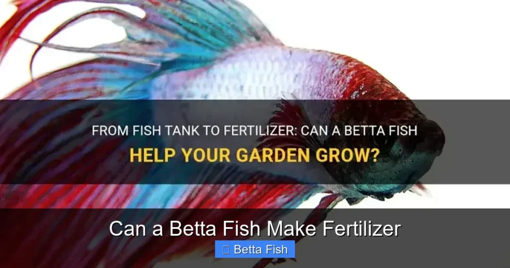 Can a Betta Fish Make Fertilizer