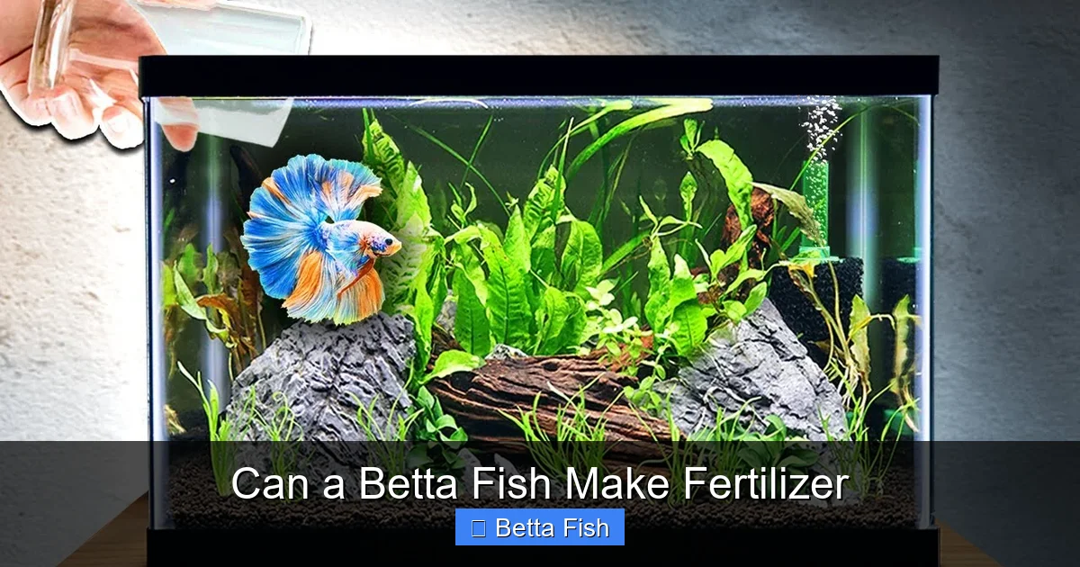Can a Betta Fish Make Fertilizer