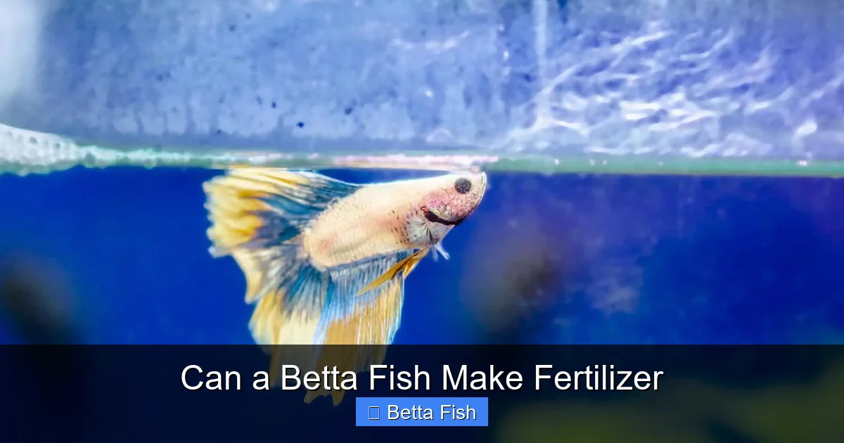 Can a Betta Fish Make Fertilizer