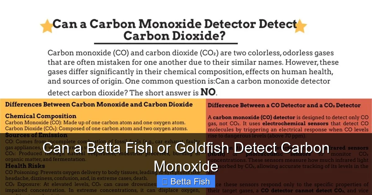 Can a Betta Fish or Goldfish Detect Carbon Monoxide