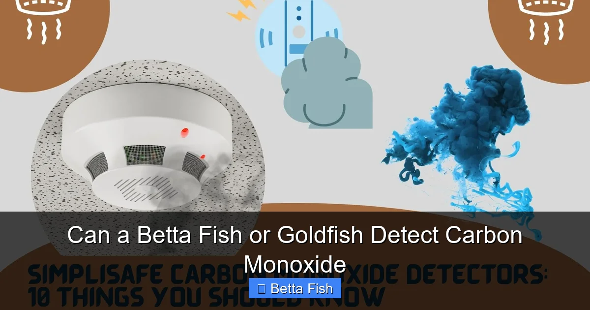 Can a Betta Fish or Goldfish Detect Carbon Monoxide