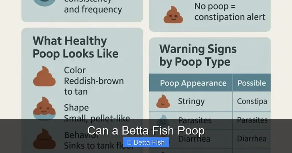 Can a Betta Fish Poop