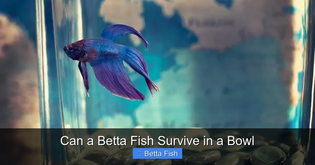 Can a Betta Fish Survive in a Bowl
