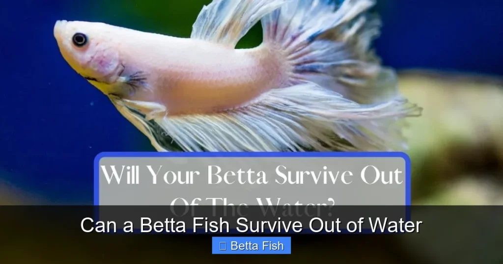 Can a Betta Fish Survive Out of Water