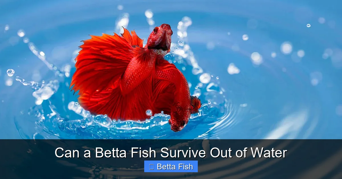 Can a Betta Fish Survive Out of Water