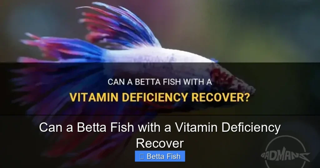 Can a Betta Fish with a Vitamin Deficiency Recover