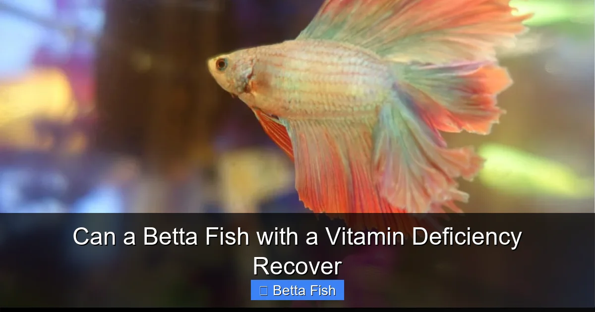 Can a Betta Fish with a Vitamin Deficiency Recover
