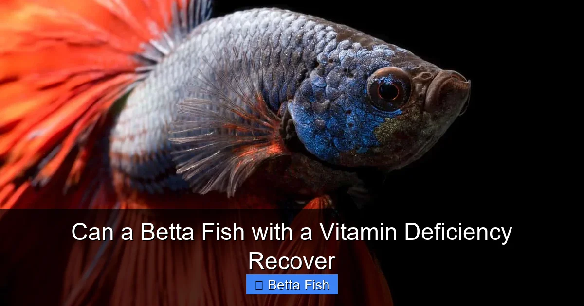 Can a Betta Fish with a Vitamin Deficiency Recover