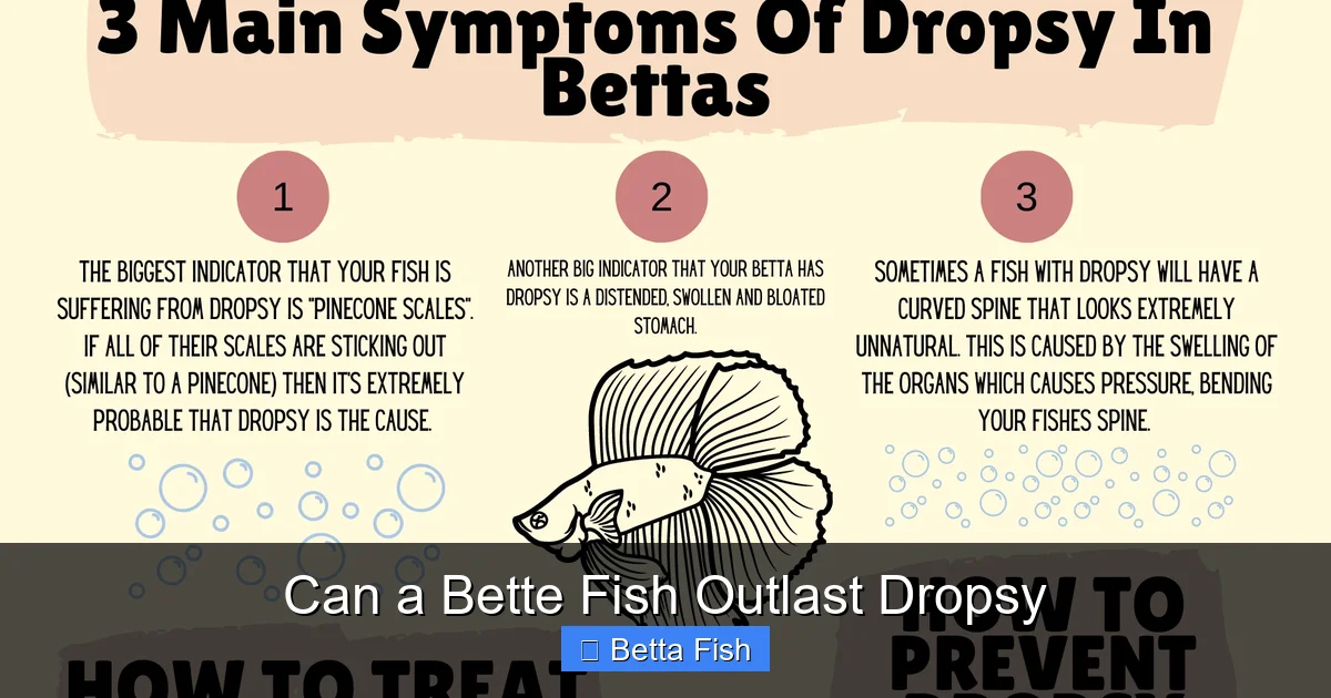 Can a Bette Fish Outlast Dropsy