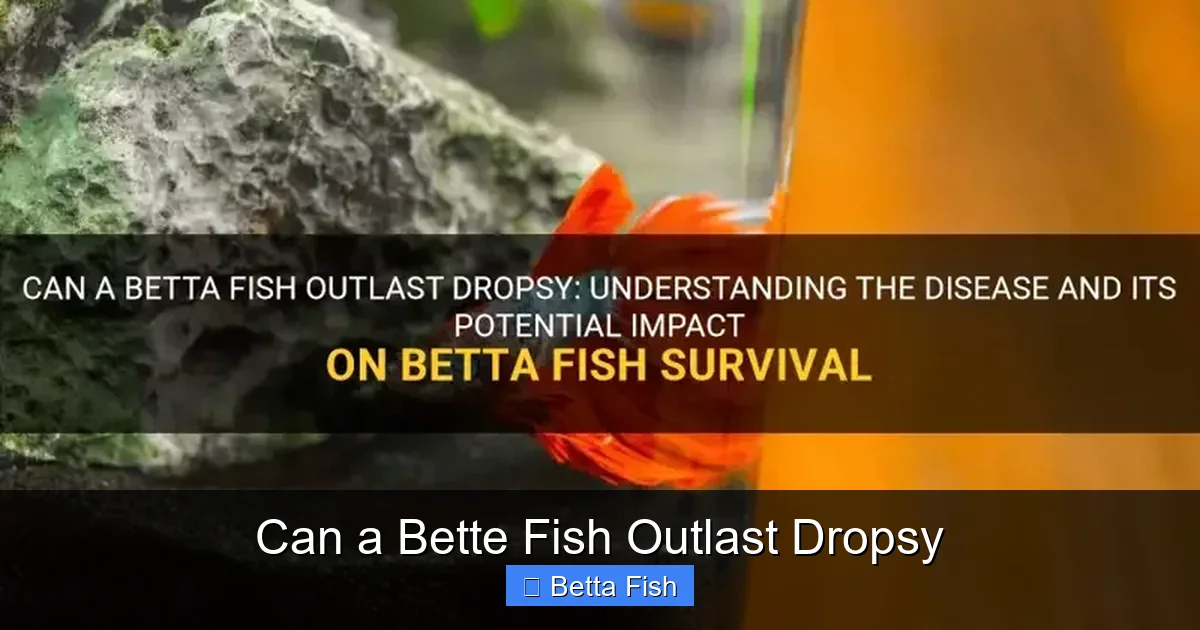 Can a Bette Fish Outlast Dropsy