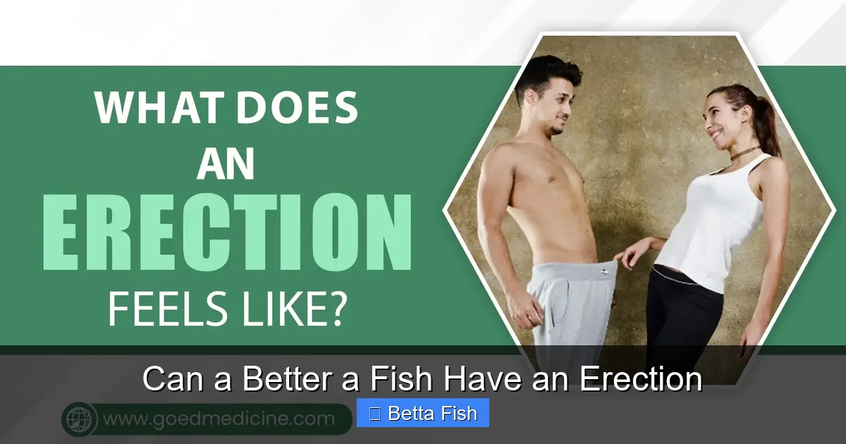 Can a Better a Fish Have an Erection