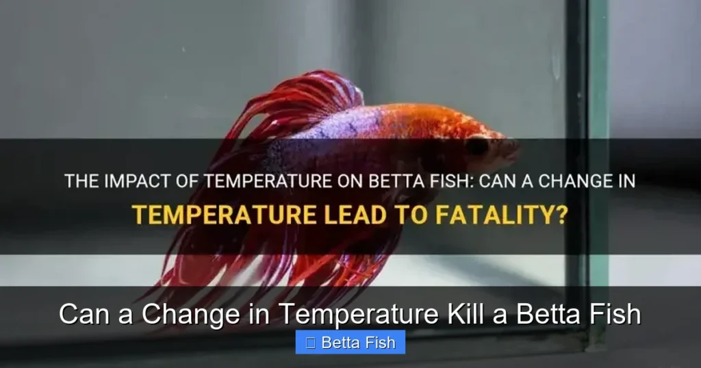 Can a Change in Temperature Kill a Betta Fish