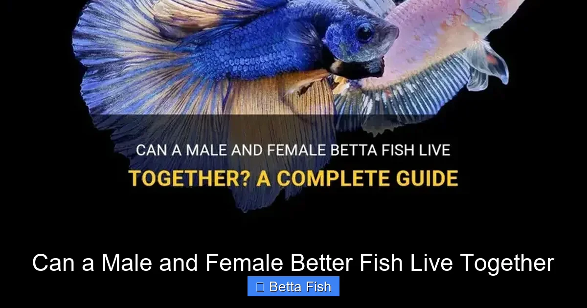 Can a Male and Female Better Fish Live Together
