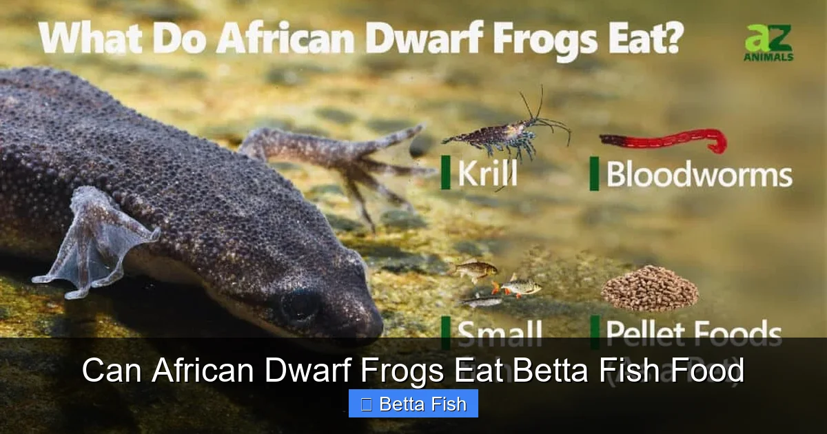 Can African Dwarf Frogs Eat Betta Fish Food
