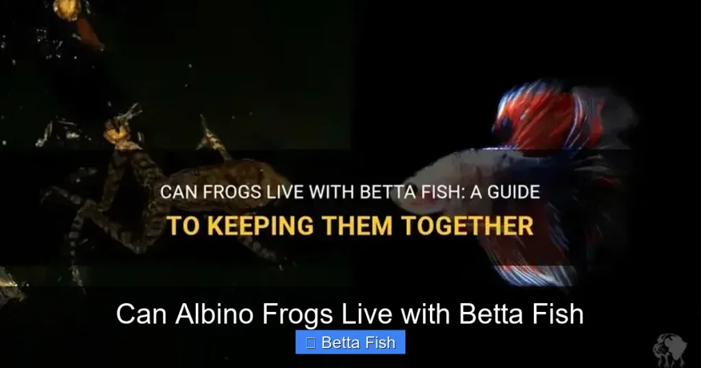 Can Albino Frogs Live with Betta Fish