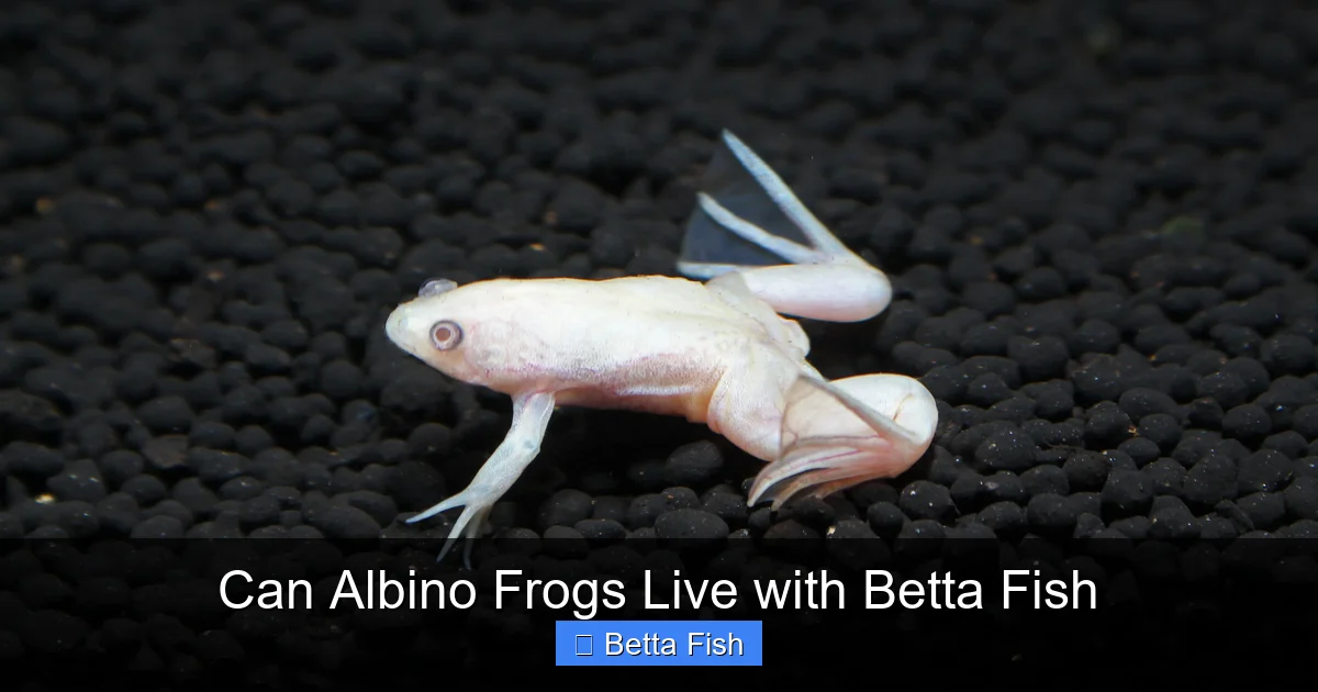 Can Albino Frogs Live with Betta Fish