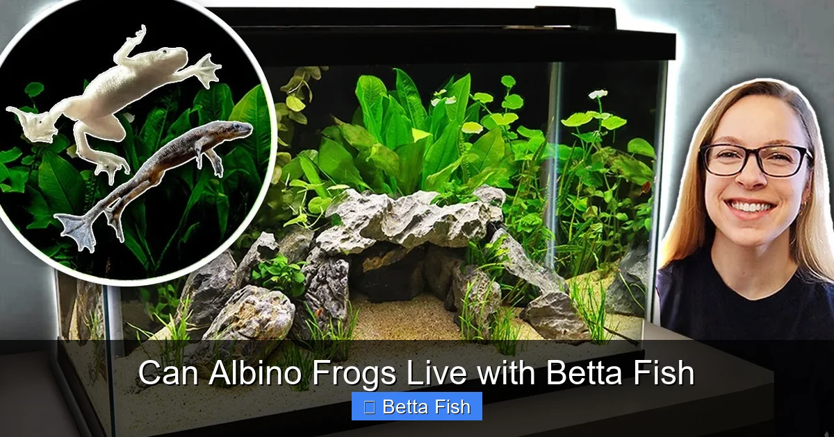 Can Albino Frogs Live with Betta Fish