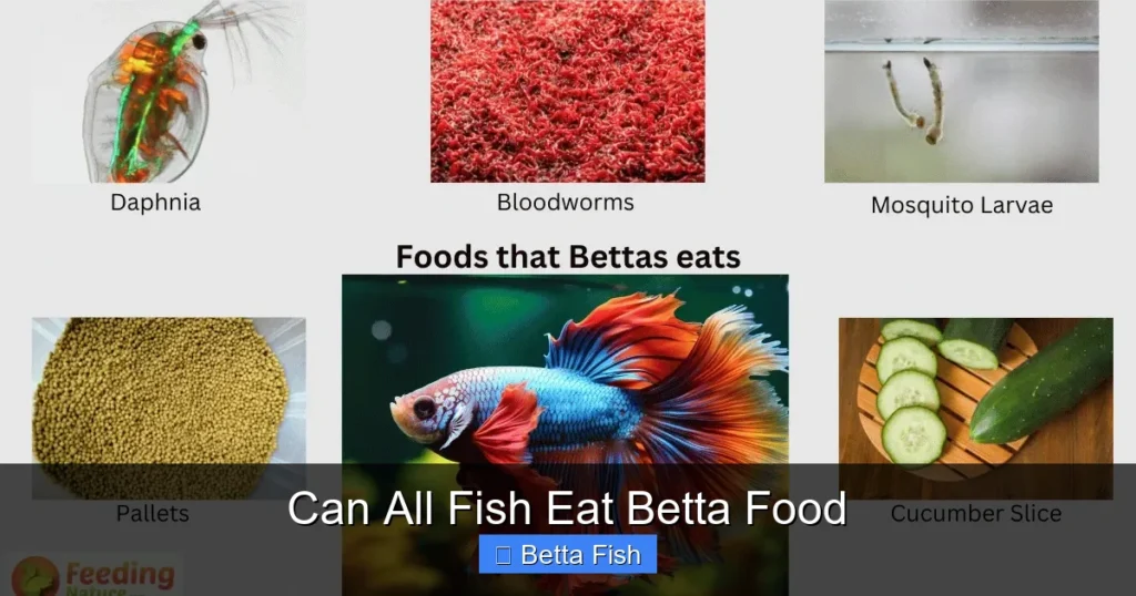Can All Fish Eat Betta Food