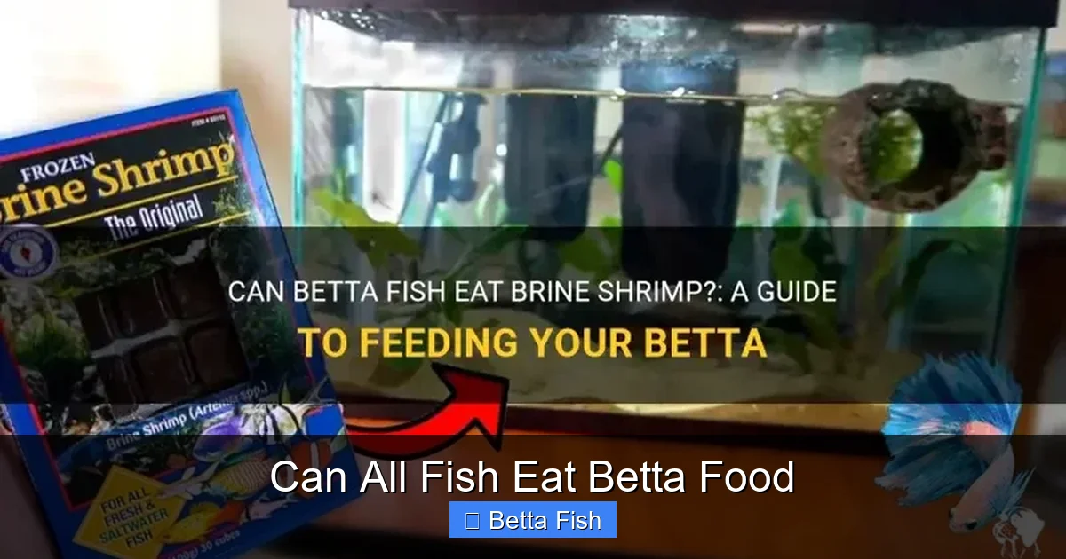 Can All Fish Eat Betta Food