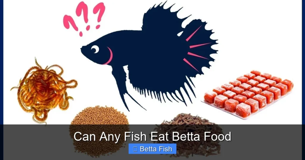 Can Any Fish Eat Betta Food