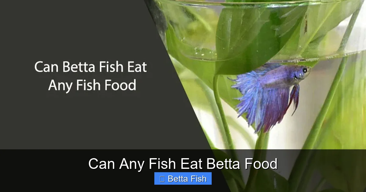 Can Any Fish Eat Betta Food