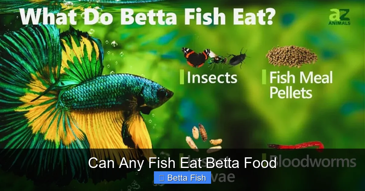 Can Any Fish Eat Betta Food